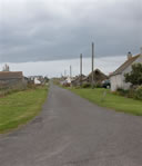 Scarlet - Many thanks to Tricia Barnett for this photo.